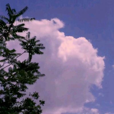 蓝月雷霆变态版公益服下载